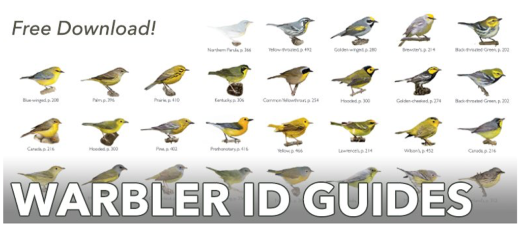 free pdf books download warbler